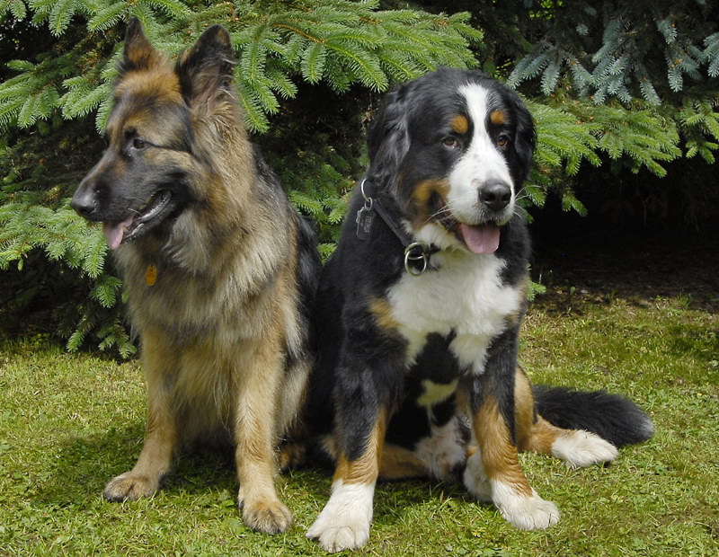 Anton Miela_DDB9309 Kopie.jpg